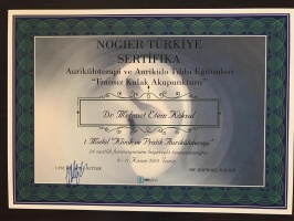 Auriküloterapi ve Aurikülo Tıbbı Eğitimleri-Fransız Kulak Akupunkturu 1.modül Klinik Ve Pratik Aurikülo Tıbbı. (Nogıer Türkiye Sertifika)