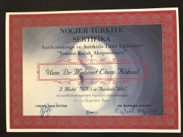 Auriküloterapi ve Aurikülo Tıbbı Eğitimleri-Fransız Kulak Akupunkturu 2.modül .VAS ve Aurikülo Tıbbı (Nogıer Türkiye Sertifika)