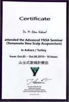 Attended the Advanced YNSA Seminar